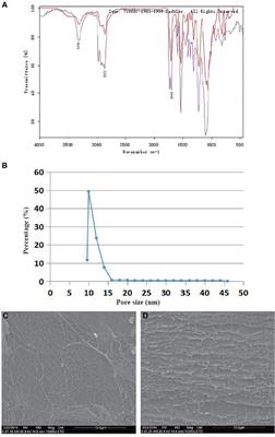 Bacterial cellulose membrane combined with BMSCs promotes wound healing by activating the notch signaling pathway